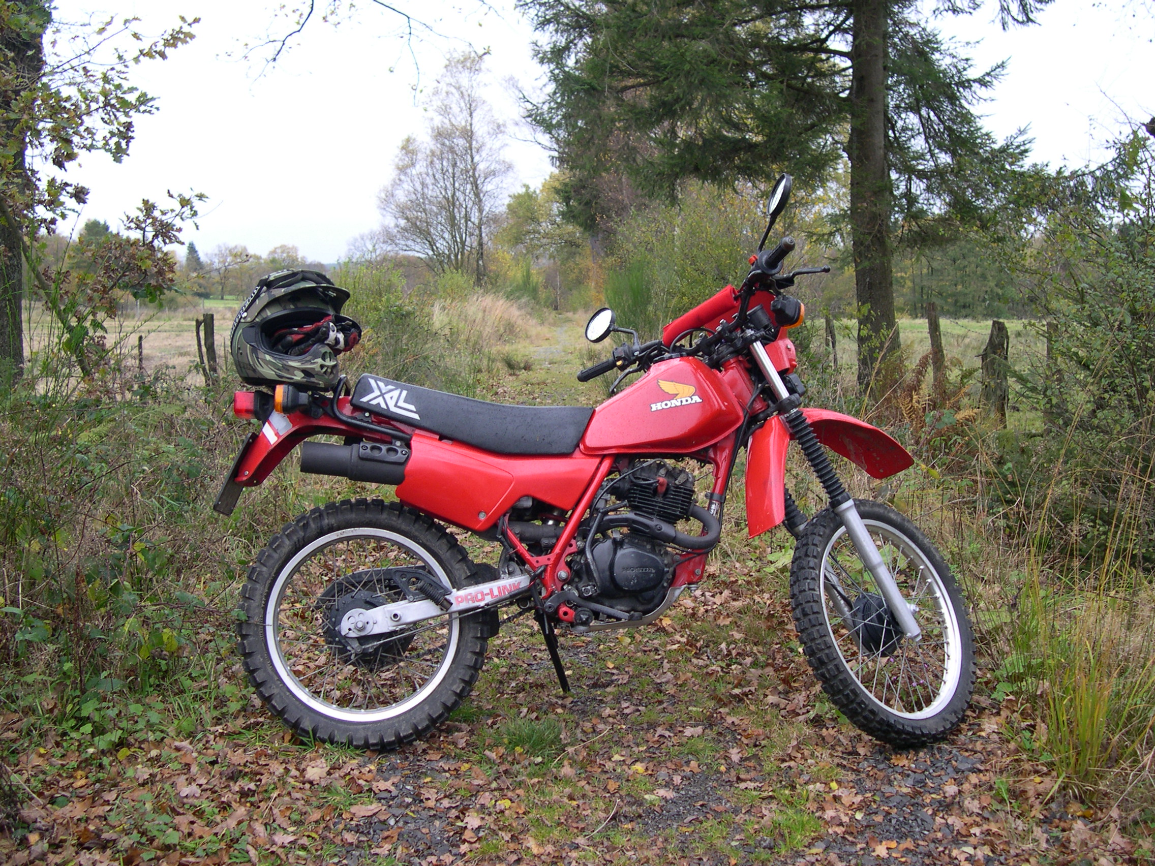http://kmatrix.de/wernerkeulen/Index_front/Yeti.JPG